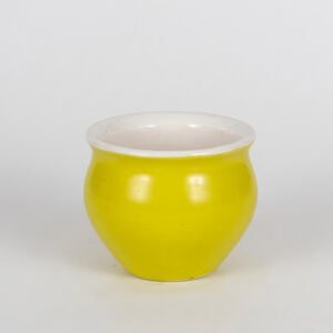 Chai Glasses Kullads Tumblers